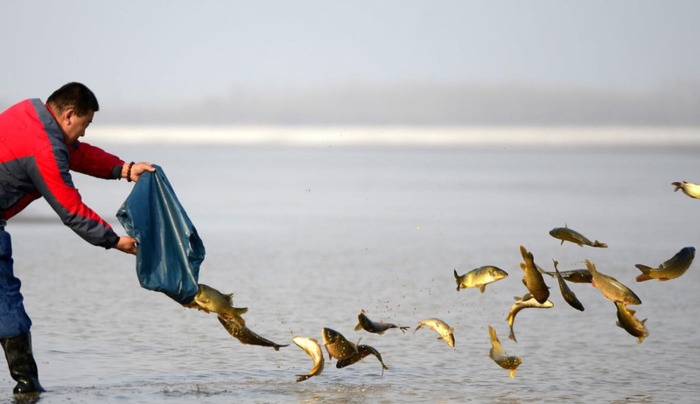 心经全文注音及解释 回向【般若波罗蜜多心经全文注音及解释】