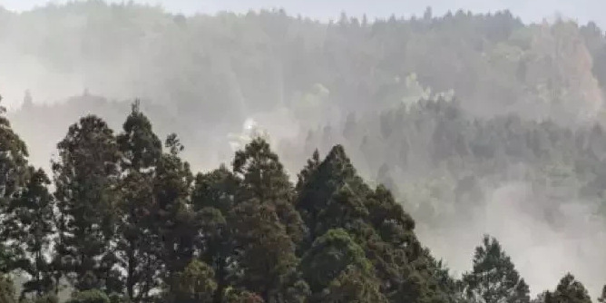 赤花症是什么意思【赤花症,飞鸟症,人鱼症,赤蝶症,七日变,宝石失明症】