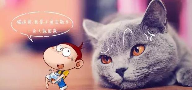 絮絮叨叨的动物猜一生肖【唠唠叨叨的生肖】