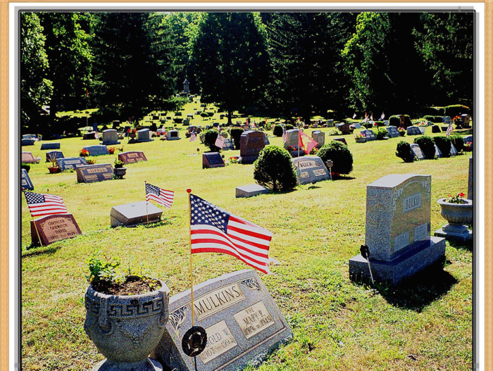 走进美国文化读后感【走进美国手抄报】