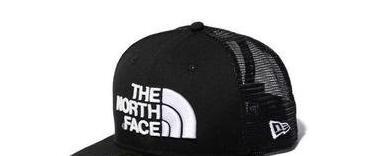 北面标志颜色代表什么【北面标志设计理念】