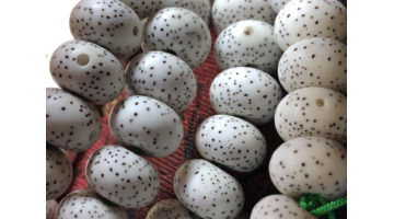 星月菩提看好与坏【如何分辨星月菩提好坏】