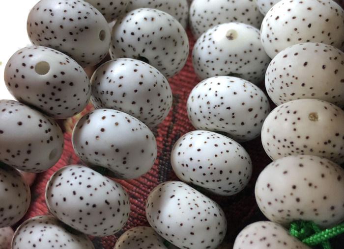 星月菩提看好与坏【如何分辨星月菩提好坏】