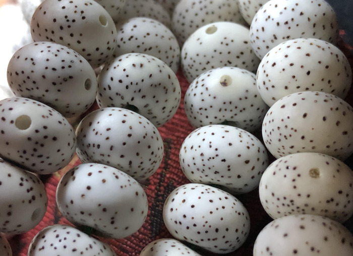 星月菩提看好与坏【如何分辨星月菩提好坏】