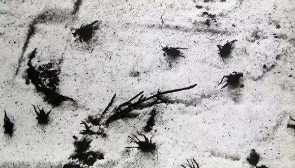 隐瞒了真相韩国【韩战历史大陆篡改】