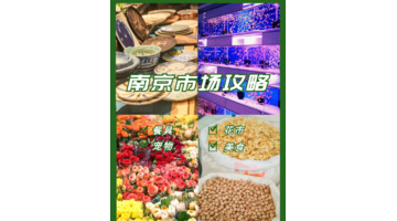 南京最大的服装批发市场在哪【南京女装批发市场服装在哪里】