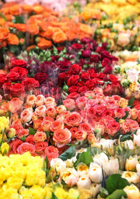 南京最大的服装批发市场在哪【南京女装批发市场服装在哪里】