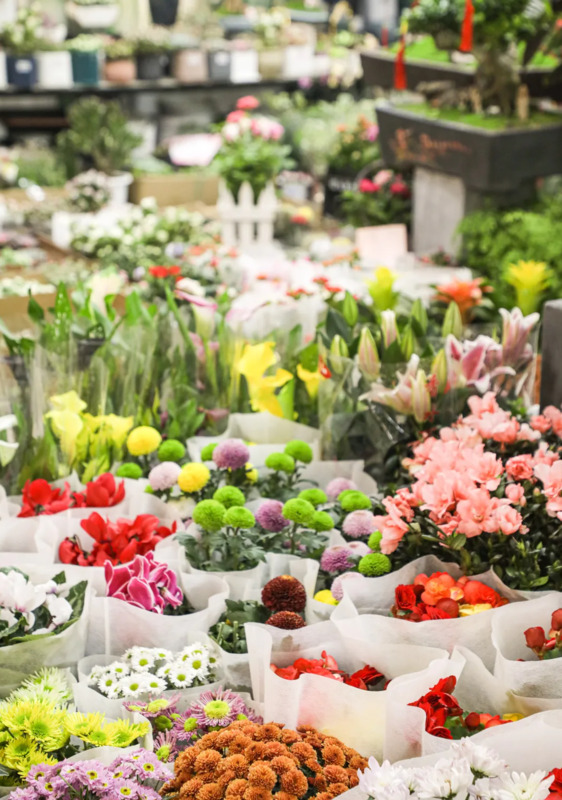 南京最大的服装批发市场在哪【南京女装批发市场服装在哪里】