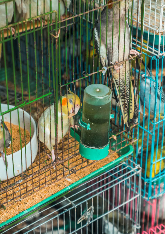 南京最大的服装批发市场在哪【南京女装批发市场服装在哪里】