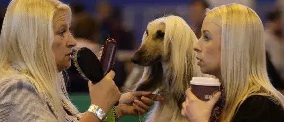 富婆快乐球快乐四件套【富婆快乐球是什么梗】