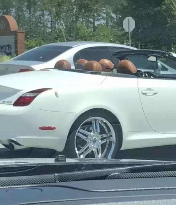 富婆快乐球快乐四件套富婆快乐球是什么梗