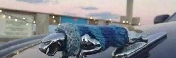 捷豹标志图片【捷豹标志立体豹子】