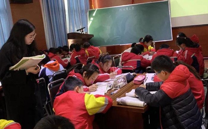 牛和鹅教学反思成功之处不足之处【牛和鹅教学反思课后反思】