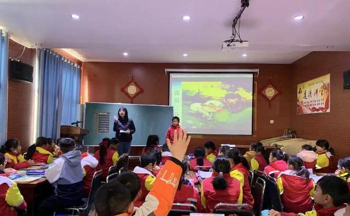 牛和鹅教学反思成功之处不足之处【牛和鹅教学反思课后反思】