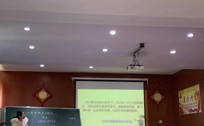 牛和鹅教学反思成功之处不足之处【牛和鹅教学反思课后反思】