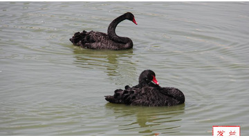 兰州最新消息今天兰州市七里河区哪里有玩【兰州最新消息】