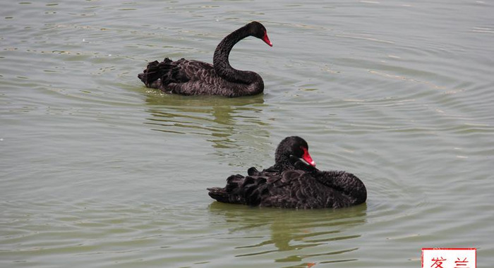 兰州最新消息今天兰州市七里河区哪里有玩【兰州最新消息】