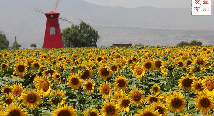 兰州最新消息今天兰州市七里河区哪里有玩【兰州最新消息】
