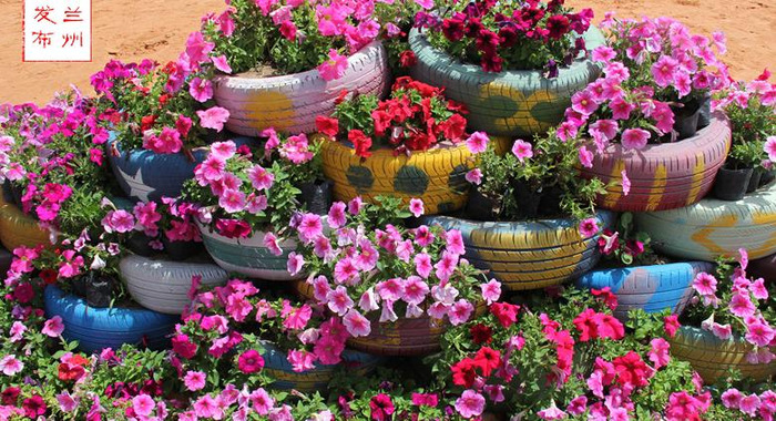 兰州最新消息今天兰州市七里河区哪里有玩【兰州最新消息】