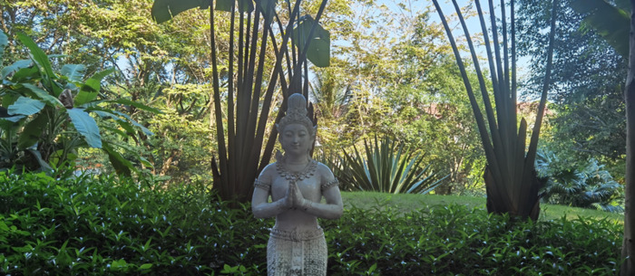 西双版纳在哪里租房生活比较便利【西双版纳租房贵不贵】