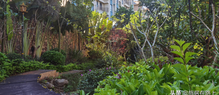 西双版纳在哪里租房生活比较便利【西双版纳租房贵不贵】