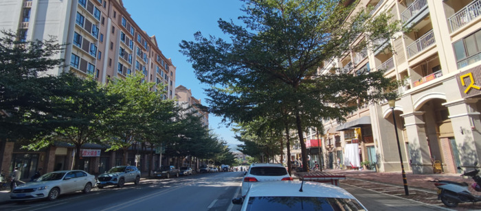 西双版纳在哪里租房生活比较便利【西双版纳租房贵不贵】