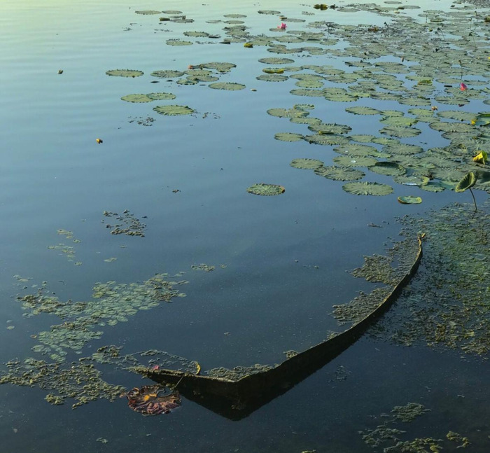 喝醉酒发朋友圈说说【喝醉以后发朋友圈的经典句子】