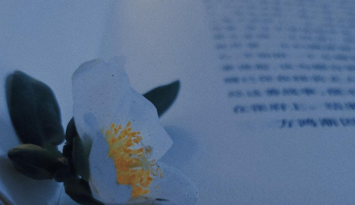 喝醉酒发朋友圈说说【喝醉以后发朋友圈的经典句子】