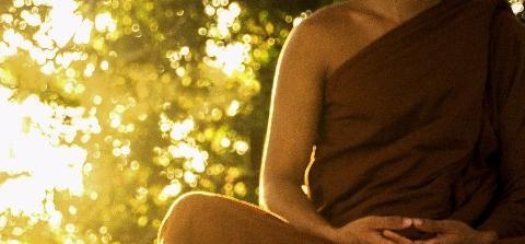 喜用神为木该怎么补运【喜用神为木2022年运势】