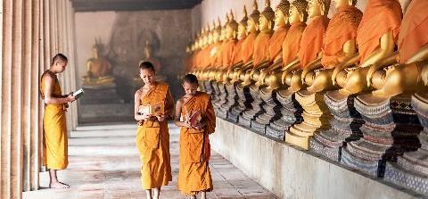 喜用神为木该怎么补运【喜用神为木2022年运势】