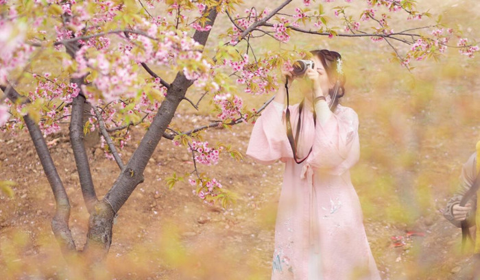 古风名字女生清冷孤傲网名【古风名字女生清冷孤傲两个字】