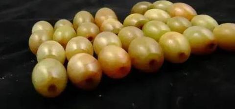 手上佛珠一般多少颗【手串佛珠一般多少颗,包含金珠】