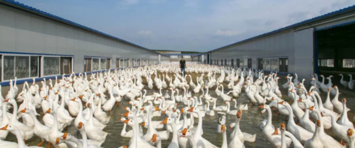 宁波有什么特产可以买【宁波土特产哪里买】