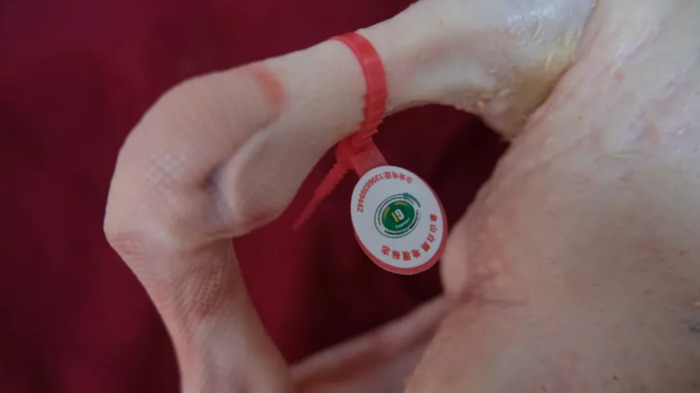 宁波有什么特产可以买【宁波土特产哪里买】