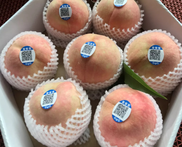 宁波有什么特产可以买【宁波土特产哪里买】