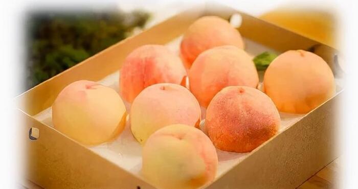 宁波有什么特产可以买【宁波土特产哪里买】