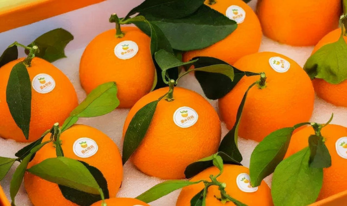 宁波有什么特产可以买【宁波土特产哪里买】