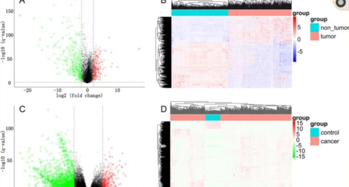 geo数据库简介【geo数据库差异基因筛选】