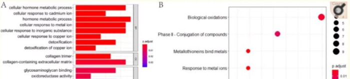 geo数据库简介【geo数据库差异基因筛选】