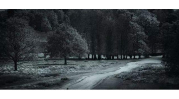 女人梦见很多煤炭什么预兆【女人梦到很多煤炭好不好】