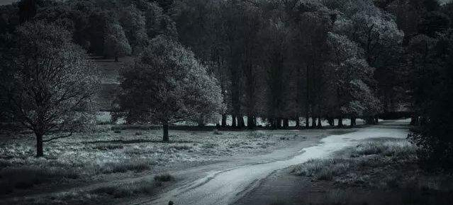 女人梦见很多煤炭什么预兆【女人梦到很多煤炭好不好】