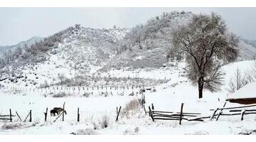 家乡下雪的说说发表【我的家乡下雪的句子】
