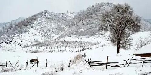 家乡下雪的说说发表【我的家乡下雪的句子】