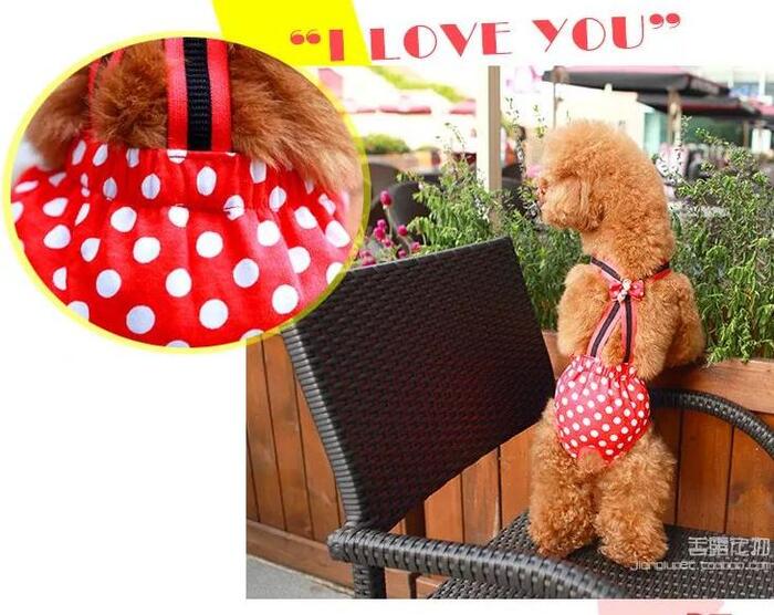 用口罩自制狗狗生理裤【口罩自制狗狗生理裤】