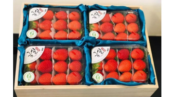 水果礼盒的搭配【圣诞节水果礼物】