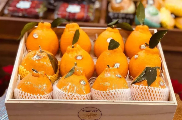 水果礼盒的搭配【圣诞节水果礼物】