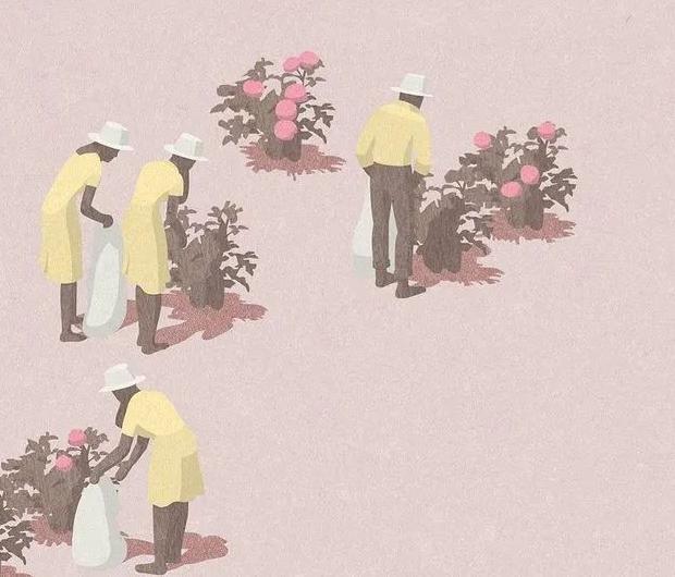 扁平插画特点【扁平插画风景】