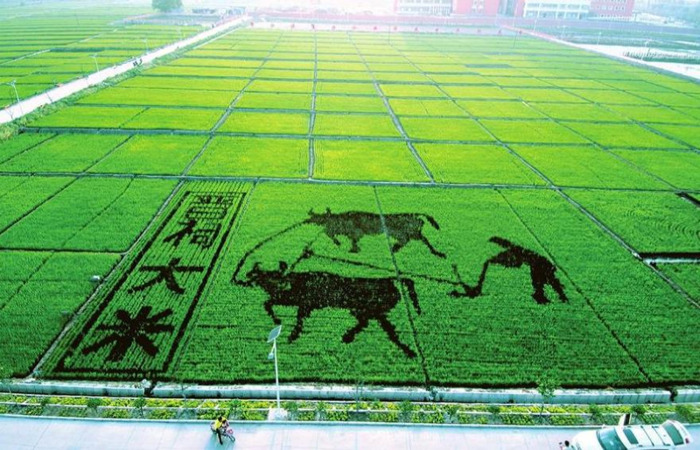 春节去三亚需要多少钱【春节去三亚玩一趟花多少钱】