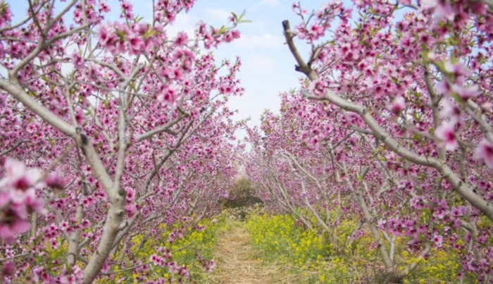 2022年是建党多少年了【现在建党多少年了】