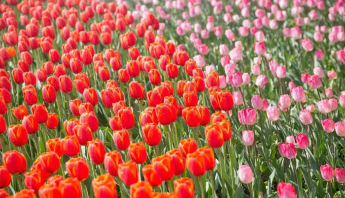 2022年是建党多少年了【现在建党多少年了】